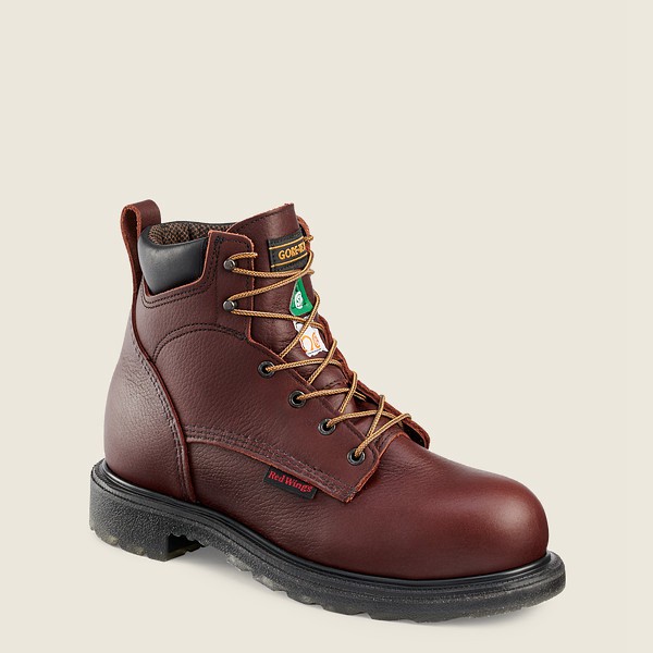 Safety Støvler Herre - Red Wing Supersole® 2.0 - 6-Inch Waterproof Csa Toe - Bordeaux - QJCWRO-109